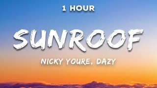 1 Hour Nicky Youre dazy  Sunroof Lyrics [upl. by Ellemac]