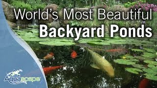 Worlds Most Beautiful Backyard Ponds [upl. by Aramas513]