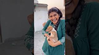 Chote puppy ka ilaj 😨 vlog 176 minivloging tranding ashortaday [upl. by Pendergast136]