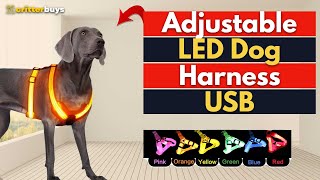 Adjustable LED Dog Harness USB Rechargeable Light Pet Dog Cat Walking Leash Vest Safety Neck Strap [upl. by Lennox]