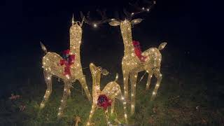 Glittering Holiday Splendor  Spectacular Deer with Lights [upl. by Toshiko]