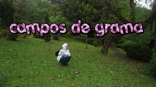 misa  campos de grama [upl. by Posner]