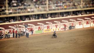 This could be your view at the Calgary Stampede Rodeo [upl. by Lem]