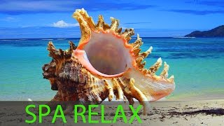 6 Hour Relaxing Spa Music Calming Music Background Music Sleep Music Spa Massage Music ☯357 [upl. by Baggett]