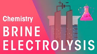 Electrolysis of Brine  Reactions  Chemistry  FuseSchool [upl. by Niajneb]