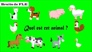 【Bruits de FLE】 Quel est cet animal  les animaux domestiques [upl. by Findlay]