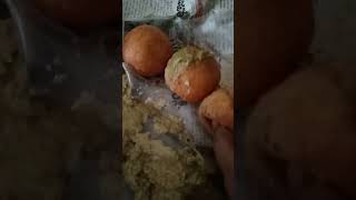 bhimavaram tiffin food [upl. by Yrannav]