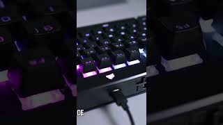 Corsair K70 RGB TKL GamingKeyboard [upl. by Awahsoj]