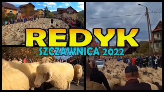 REDYK Szczawnica 2022  Poland 4k [upl. by Rask614]