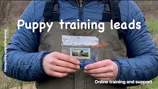 Basic puppy Leadleash training working Cocker Springer Spaniel gundog training obedience [upl. by Randi]