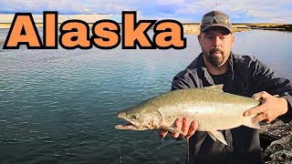 Prudhoe Bay Alaska  Dolly Varden  Arctic char [upl. by Chaiken587]