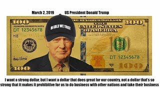 Trump Bearish US Dollar Take  Ronnie Stoeferle In Gold We Trust Report [upl. by Amle348]