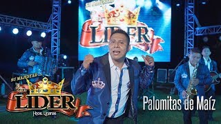 El Gran Líder  Huapango Palomitas de Maíz  Vídeo Oficial 2018 [upl. by Sib]