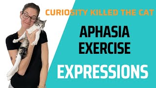 Follow Along Speech Therapy for Aphasia  Expression Completion [upl. by Ailem932]