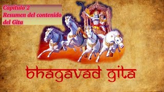 BHAGAVAD GITA audiolibro en español Cap 2 quotResumen del contenido del Gitaquot [upl. by Onitnerolf41]