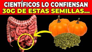 ¿Qué hacen las PIPAS DE CALABAZA a tu CUERPO😱​¡Efectos impactantes [upl. by Montano442]