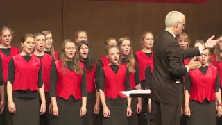 Ulmer Spatzen Chor  A Little Jazz Mass  Agnus Dei [upl. by Nuahsad]