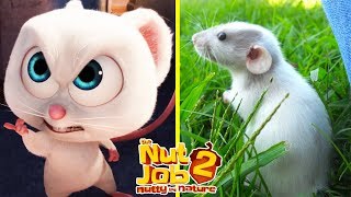 The Nut Job  AniMats Reviews [upl. by Sims]