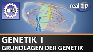 Trailer  Genetik I  Grundlagen der Genetik  Biologie  3D Software [upl. by Levana]