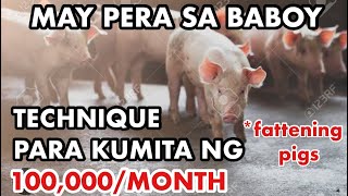 KUMITA NG 100K KADA BUWAN SA PAGAALAGA NG BABOYNEGOSYO PHILIPPINES [upl. by Leahcam839]