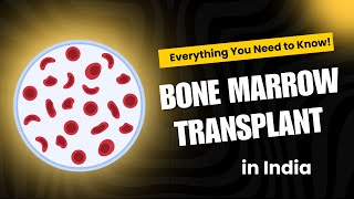 Bone Marrow Transplant in India Everything you need to know in 2024 [upl. by Airaet]