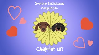 Starbox Dachshunds Compilation Chapter 181 [upl. by Jasun]