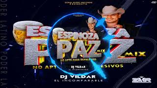 Espinoza Paz Mix No Apto Para Depresivos By Dj Vildar El Incomparable Zona Music Records PoderLatino [upl. by Zul]