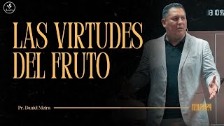 Pr Daniel Meira 🔴 Las Virtudes del Fruto 🔴 17112024 [upl. by Enid625]