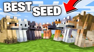 The PERFECT Seed For Minecraft 121 All New Wolf Variants at Spawn [upl. by Htebasile]