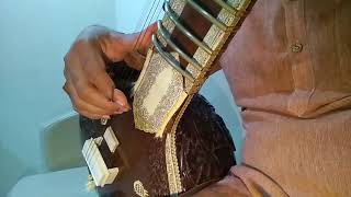 Sitar Basic Lesson  1  Sa re ga ma With Chikari [upl. by Digirb]