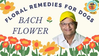 Transform Your Dogs Life with Bach Flower Remedies 🌸🐾 [upl. by Disraeli]