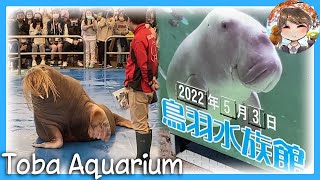 Toba Aquarium 🦦🦭 Golden Week Travel Vlog Mie Part 1 Kiwi In Japan 206 [upl. by Deevan]