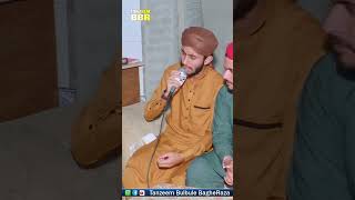 Tanam Farsooda Jaan Para  Muhammad Hazrat Ullah Khan Qadri [upl. by Kraul]