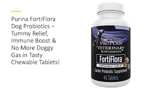 Purina FortiFlora Dog Probiotics – Tummy Relief Immune Boost amp No More Doggy Gas in Tasty Tablets [upl. by Vincenta]