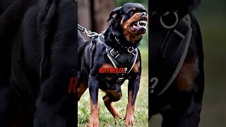 Bas Rutten vs Police Dog [upl. by Joao]