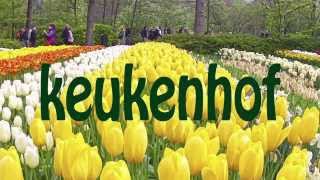 Keukenhof is de Tuin van Europa is een van de grootste bloementuin van de wereld [upl. by Reiser]