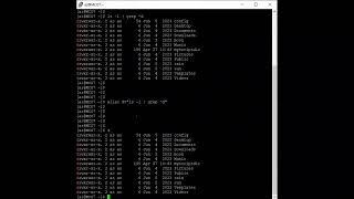 Linux 95 Aliases In Linux [upl. by Boni]