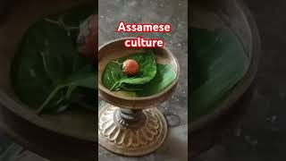 Tamul paanor betel leaves and betel nut is asignificant part of Assamese culture betelleaves [upl. by Eustatius]