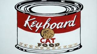 EXIT THROUGH THE PET SHOP STARRING KEYBOARD CAT [upl. by Pudendas]