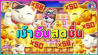 Lucky Neko │ ลักกี้เนโกะ แมวPG➤เช้า อันสดชื่น [upl. by Gardell]