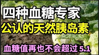 这四种食物，被血糖专家称为“天然胰岛素”、糖尿病的克星，每天换着吃，血糖值再也不会超过51！【本草养生大智慧】 [upl. by Bakemeier661]