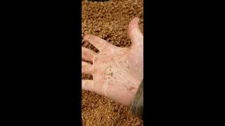 How we use Tractor Supply 40 Pelletized Animal Equine Bedding Part 1 [upl. by Novelia]