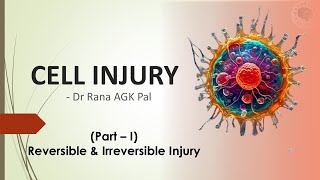 Cell Injury Pathology Part 1  Reversible amp Irreversible Injury [upl. by Loreen102]