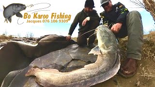 Catfishing the Orange River Compilation [upl. by Nyasuh]