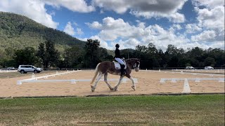 Gracie Samford Dressage Prelim 12 [upl. by Carmon833]