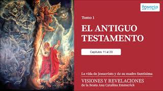 VISIONES Y REVELACIONES DE ANA CATALINA EMMERICK TOMO 1 ANTIGUO TESTAMENTO cap 11 a 20 [upl. by Hakim]