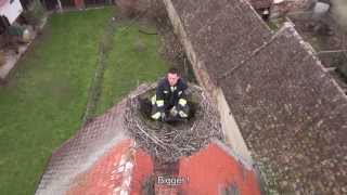 Firefighters clean stork nests [upl. by Kraft696]