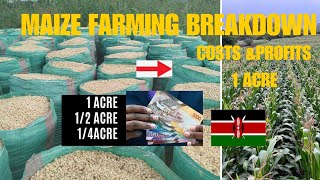 Maize farming breakdown costs and profits 1 acre Kenya [upl. by Sivar]