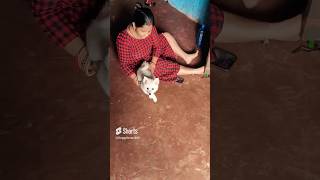 Athma rama song doggy lovers 🐕🐕shortsyoutubeshortsviralsubscribe [upl. by Soneson771]