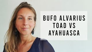 Bufo Alvarius Toad vs Ayahuasca [upl. by Ellehcor]